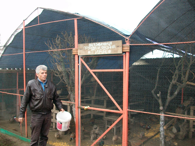 Фазани и паунови за ловиште и трпезу